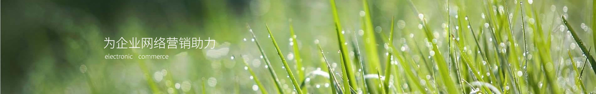 ݰάػ޹˾